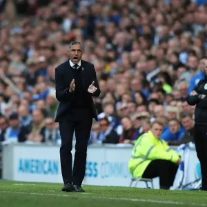 Chris Hughton in Action: Brighton and Hove Albion vs. Bristol City, EFL Sky Bet Championship (29APR17)