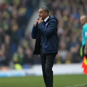 Chris Hughton Directs Brighton and Hove Albion vs. Norwich City, April 2015 Chris Hughton Directs Brighton and Hove Albion vs. Norwich City, April 2015