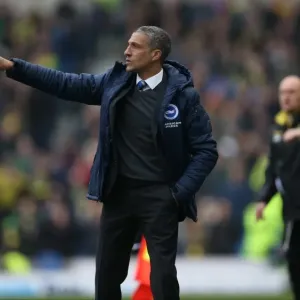 Chris Hughton Focused: Brighton and Hove Albion vs Norwich City, Sky Bet Championship, 3rd April 2015 Chris Hughton Focused: Brighton and Hove Albion vs Norwich City, Sky Bet Championship, 3rd April 2015