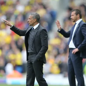 Chris Hughton: Focused Leadership at Brighton and Hove Albion vs. Watford (25APR15) Chris Hughton: Focused Leadership at Brighton and Hove Albion vs. Watford (25APR15)