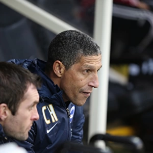 Chris Hughton Guides Brighton and Hove Albion in FA Cup Battle against Brentford (03.01.15)