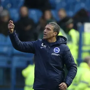 Chris Hughton Guides Brighton and Hove Albion at Sheffield Wednesday, Sky Bet Championship 2015 Chris Hughton Guides Brighton and Hove Albion at Sheffield Wednesday, Sky Bet Championship 2015