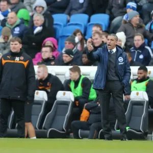 Chris Hughton Guides Brighton and Hove Albion vs. Wolverhampton Wanderers, March 2015 Chris Hughton Guides Brighton and Hove Albion vs. Wolverhampton Wanderers, March 2015