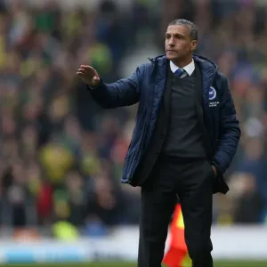 Chris Hughton Guides Brighton and Hove Albion vs. Norwich City, April 2015 Chris Hughton Guides Brighton and Hove Albion vs. Norwich City, April 2015