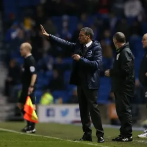 Chris Hughton Leads Brighton and Hove Albion Against Brentford, January 2015