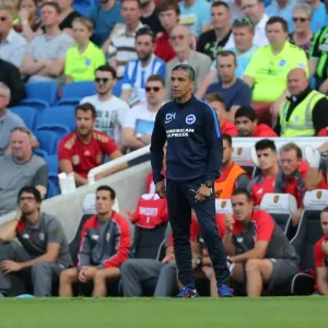 Chris Hughton Leads Brighton & Hove Albion Against Sevilla FC in Pre-Season Friendly (02.08.2015) Chris Hughton Leads Brighton & Hove Albion Against Sevilla FC in Pre-Season Friendly (02.08.2015)