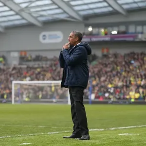 Chris Hughton's Focus: Brighton and Hove Albion vs. Norwich City, Sky Bet Championship, 3rd April 2015 Chris Hughton's Focus: Brighton and Hove Albion vs. Norwich City, Sky Bet Championship, 3rd April 2015