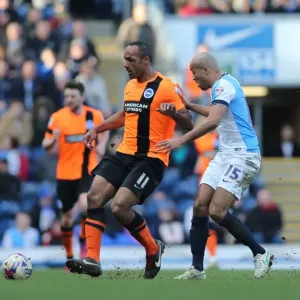 Chris O'Grady in Action: Blackburn Rovers vs. Brighton and Hove Albion, Sky Bet Championship, 21st March 2015