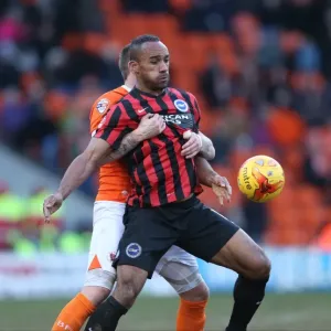 Chris O'Grady in Action: Blackpool vs. Brighton & Hove Albion, Sky Bet Championship (31st January 2015) Chris O'Grady in Action: Blackpool vs. Brighton & Hove Albion, Sky Bet Championship (31st January 2015)