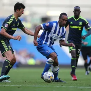 Chris O'Grady in Action: Brighton and Hove Albion vs. Middlesbrough, October 18, 2014 Chris O'Grady in Action: Brighton and Hove Albion vs. Middlesbrough, October 18, 2014