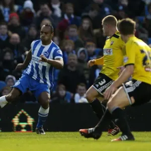 Chris O'Grady in Action: Brighton & Hove Albion vs. Brentford, American Express Community Stadium (January 17, 2015)
