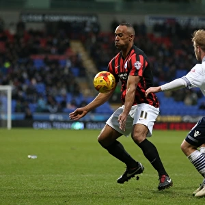 Chris O'Grady in Action: Brighton and Hove Albion vs. Bolton Wanderers, Sky Bet Championship 2015