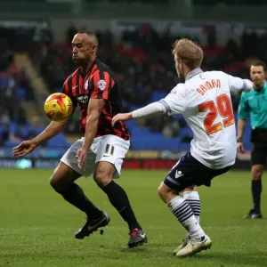 Chris O'Grady in Action: Brighton and Hove Albion vs. Bolton Wanderers, Sky Bet Championship 2015
