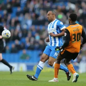 Chris O'Grady in Action: Brighton and Hove Albion vs. Wolverhampton Wanderers, Sky Bet Championship 2015 (American Express Community Stadium) Chris O'Grady in Action: Brighton and Hove Albion vs. Wolverhampton Wanderers, Sky Bet Championship 2015 (American Express Community Stadium)