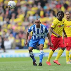 Chris O'Grady in Action: Brighton & Hove Albion vs. Watford, American Express Community Stadium (25 April 2015) Chris O'Grady in Action: Brighton & Hove Albion vs. Watford, American Express Community Stadium (25 April 2015)