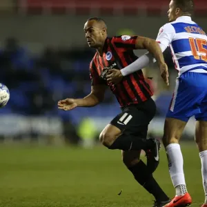 Chris O'Grady in Action: Reading vs. Brighton & Hove Albion, Sky Bet Championship 2015