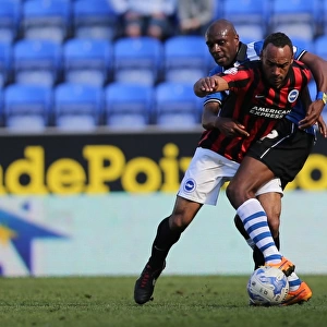 Chris O'Grady in Action: Wigan Athletic vs. Brighton and Hove Albion, Sky Bet Championship, 18th April 2015