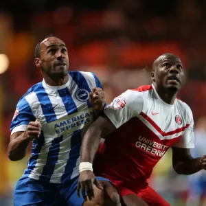 Chris O'Grady Clashes in the Sky Bet Championship: Charlton Athletic vs. Brighton & Hove Albion (10 January 2015) Chris O'Grady Clashes in the Sky Bet Championship: Charlton Athletic vs. Brighton & Hove Albion (10 January 2015)