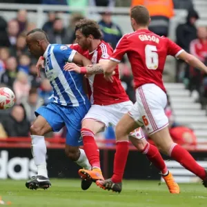 Chris O'Grady Faces Off: Middlesbrough vs. Brighton & Hove Albion, Sky Bet Championship Showdown (02MAY15)
