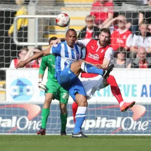 Chris O'Grady Faces Off: Rotherham United vs. Brighton and Hove Albion, Sky Bet Championship 2015