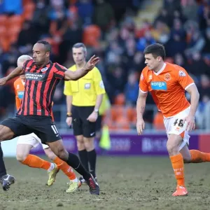 Chris O'Grady Scores for Brighton: Blackpool vs. Brighton and Hove Albion, Sky Bet Championship, 31st January 2015 Chris O'Grady Scores for Brighton: Blackpool vs. Brighton and Hove Albion, Sky Bet Championship, 31st January 2015