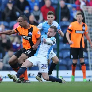 Chris O'Grady vs Jay Spearing: Intense Rivalry in the Sky Bet Championship Clash between Blackburn Rovers and Brighton & Hove Albion (21MAR15)