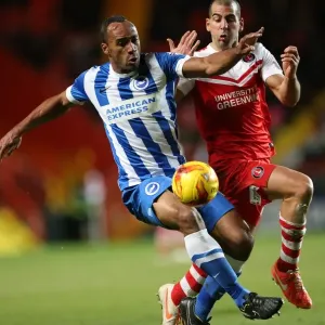 Chris O'Grady's Intense Clash: Charlton Athletic vs. Brighton & Hove Albion in Sky Bet Championship (10 January 2015) Chris O'Grady's Intense Clash: Charlton Athletic vs. Brighton & Hove Albion in Sky Bet Championship (10 January 2015)