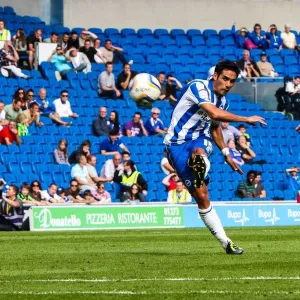 A Clash with the Champions: Chelsea vs. Brighton & Hove Albion (2012-13)