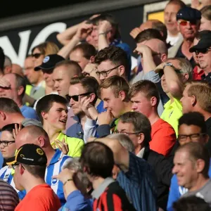 Clash in the Championship: Wolverhampton Wanderers vs. Brighton and Hove Albion (17/09/2015) Clash in the Championship: Wolverhampton Wanderers vs. Brighton and Hove Albion (17/09/2015)