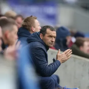 Colin Calderwood Focuses on the Game: Brighton and Hove Albion vs. Norwich City, Sky Bet Championship, 3rd April 2015 Colin Calderwood Focuses on the Game: Brighton and Hove Albion vs. Norwich City, Sky Bet Championship, 3rd April 2015