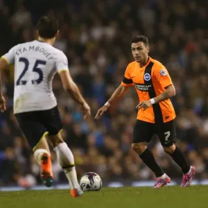 Colunga vs. Tottenham: Capital One Cup Clash between Brighton and Spurs (29OCT14) Colunga vs. Tottenham: Capital One Cup Clash between Brighton and Spurs (29OCT14)