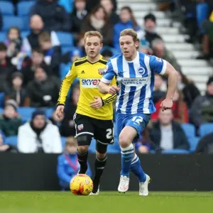 Craig Mackail-Smith in Action: Brighton & Hove Albion vs. Brentford (17Jan15)
