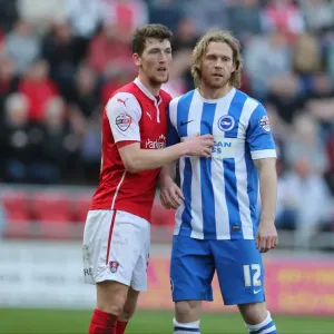 Craig Mackail-Smith: In Action for Brighton and Hove Albion vs. Rotherham United, Sky Bet Championship, 6th April 2015