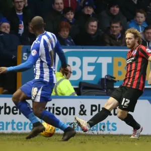 Craig Mackail-Smith in Action: Brighton's Striker Battles it Out at Sheffield Wednesday, Sky Bet Championship 2015 Craig Mackail-Smith in Action: Brighton's Striker Battles it Out at Sheffield Wednesday, Sky Bet Championship 2015