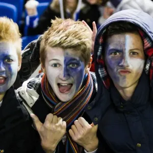 Crowd shots at the Amex - 2013-14 Crowd shots at the Amex - 2013-14