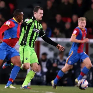 Crystal Palace Brighton 121201