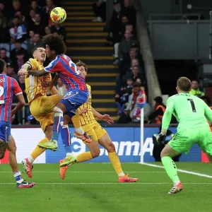 Crystal Palace v Brighton and Hove Albion<br> Premier League<br> 09NOV25 Crystal Palace v Brighton and Hove Albion<br> Premier League<br> 09NOV25