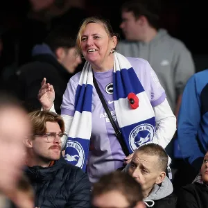 Crystal Palace v Brighton and Hove Albion<br> Premier League<br> 09NOV25 Crystal Palace v Brighton and Hove Albion<br> Premier League<br> 09NOV25