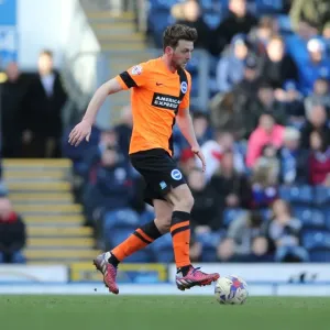 Dale Stephens in Action: Blackburn Rovers vs. Brighton and Hove Albion, Championship Clash at Ewood Park (21MAR15)