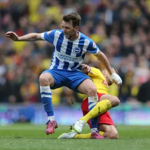 Dale Stephens in Action: Brighton & Hove Albion vs. Watford, Sky Bet Championship, 25 April 2015 Dale Stephens in Action: Brighton & Hove Albion vs. Watford, Sky Bet Championship, 25 April 2015