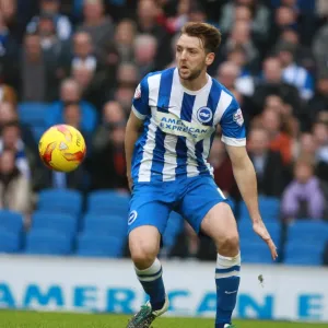 Dale Stephens in Action: Brighton and Hove Albion vs. Middlesbrough, Sky Bet Championship (19.12.2015) Dale Stephens in Action: Brighton and Hove Albion vs. Middlesbrough, Sky Bet Championship (19.12.2015)