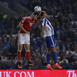 Dale Stephens in Action: Brighton & Hove Albion vs. Nottingham Forest, EFL Sky Bet Championship (August 12, 2016) Dale Stephens in Action: Brighton & Hove Albion vs. Nottingham Forest, EFL Sky Bet Championship (August 12, 2016)