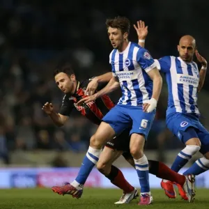 Dale Stephens in Action: Brighton and Hove Albion vs AFC Bournemouth (April 10, 2015) Dale Stephens in Action: Brighton and Hove Albion vs AFC Bournemouth (April 10, 2015)