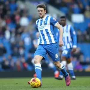 Dale Stephens in Action: Brighton and Hove Albion vs Birmingham City, 21 February 2015 Dale Stephens in Action: Brighton and Hove Albion vs Birmingham City, 21 February 2015