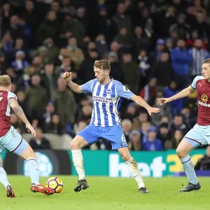 Dale Stephens in Action: Brighton & Hove Albion vs Burnley, Premier League, December 16, 2017 Dale Stephens in Action: Brighton & Hove Albion vs Burnley, Premier League, December 16, 2017