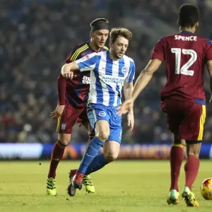 Dale Stephens in Action: Brighton & Hove Albion vs Ipswich Town, EFL Sky Bet Championship (14/02/2017)