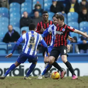 Dale Stephens in Action: Championship Showdown - Sheffield Wednesday vs. Brighton and Hove Albion (14FEB15) Dale Stephens in Action: Championship Showdown - Sheffield Wednesday vs. Brighton and Hove Albion (14FEB15)