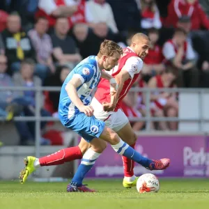 Dale Stephens in Action: Rotherham United vs. Brighton and Hove Albion, Sky Bet Championship, 6th April 2015