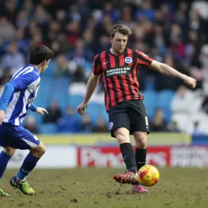 Dale Stephens in Action: Sheffield Wednesday vs. Brighton and Hove Albion, Championship Clash at Hillsborough (14FEB15) Dale Stephens in Action: Sheffield Wednesday vs. Brighton and Hove Albion, Championship Clash at Hillsborough (14FEB15)