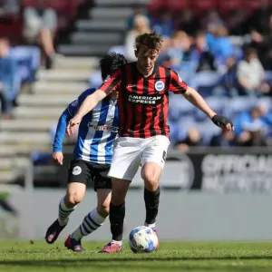 Dale Stephens in Action: Wigan Athletic vs. Brighton and Hove Albion, Sky Bet Championship, 18th April 2015 Dale Stephens in Action: Wigan Athletic vs. Brighton and Hove Albion, Sky Bet Championship, 18th April 2015